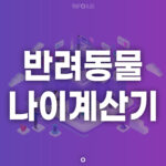 반려동물 나이계산기